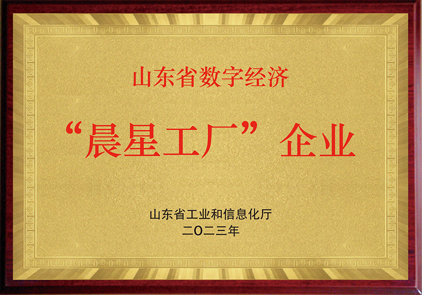 Shandong Province Digital Economy Morning Star Factory Enterprise